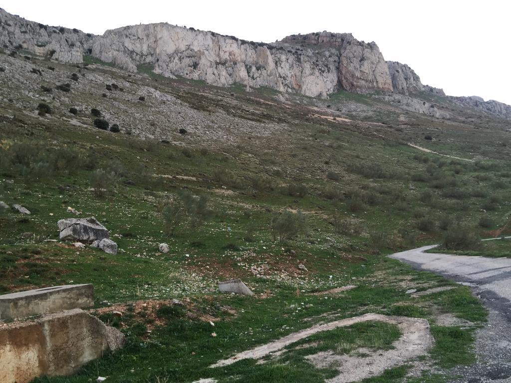 Hotel Antequera Rural Fortes La Nuit Mollina Bagian luar foto